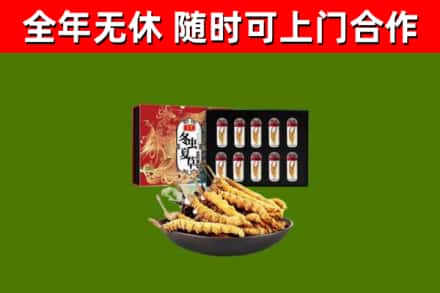 唐山市回收冬虫夏草价格